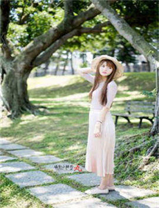 《豪婿电视剧完整版免费视频》